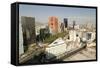 Paseo De La Reforma, Mexico City, Mexico, North America-Tony Waltham-Framed Stretched Canvas