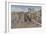 Paseo De Marti O Prado, Marti or Prado Promenade-American Photographer-Framed Photographic Print