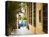 Paseo De Marti (Paseo Del Prado), Havana, Cuba-Jon Arnold-Stretched Canvas