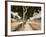 Paseo Del Prado, Habana, 1900-null-Framed Giclee Print