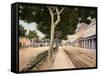 Paseo Del Prado, Habana, 1900-null-Framed Stretched Canvas