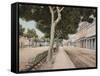 Paseo Del Prado, Havana' Steet of the Meadow-William Henry Jackson-Framed Stretched Canvas