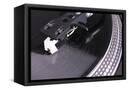 Canvas Black