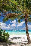 Tropical Beach with Beautiful Palms-pashapixel-Photographic Print