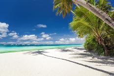 Tropical Beach with Beautiful Palms-pashapixel-Photographic Print