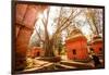 Pashupati Temple tombs, Kathmandu, Nepal, Asia-Laura Grier-Framed Photographic Print