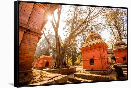 Pashupati Temple tombs, Kathmandu, Nepal, Asia-Laura Grier-Framed Stretched Canvas