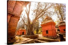 Pashupati Temple tombs, Kathmandu, Nepal, Asia-Laura Grier-Stretched Canvas