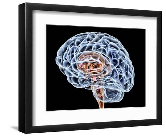 Premium Photographic Print, , large