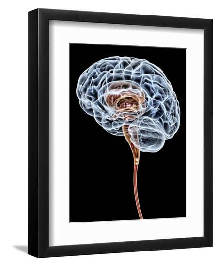 Premium Photographic Print, , large