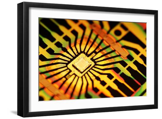 Photographic Print, , large