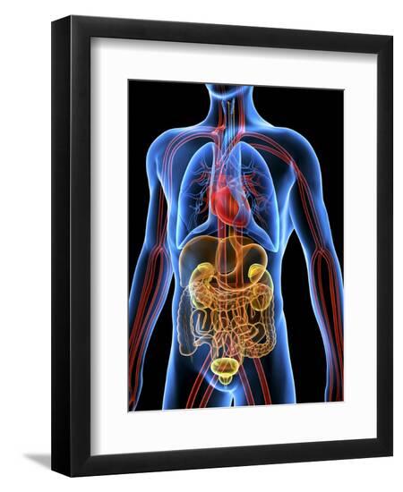 Premium Photographic Print, , large
