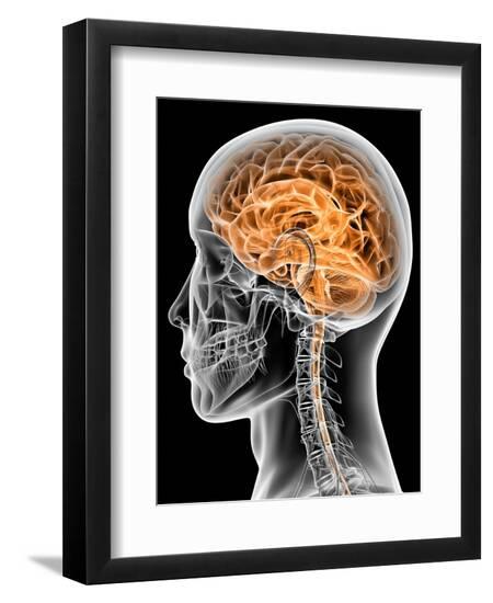 Premium Photographic Print, , large