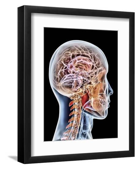 Premium Photographic Print, , large