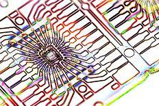 Microprocessor Chip, Artwork-PASIEKA-Photographic Print