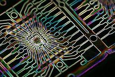 Microprocessor Chip, Computer Artwork-PASIEKA-Photographic Print