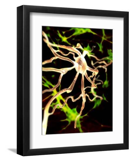 Premium Photographic Print, , large