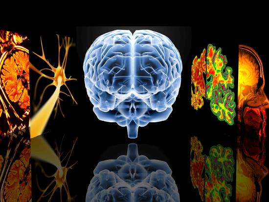 Photographic Print, , large