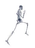Skeleton Running-PASIEKA-Photographic Print