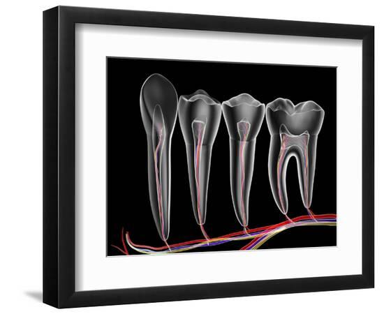 Premium Photographic Print, , large