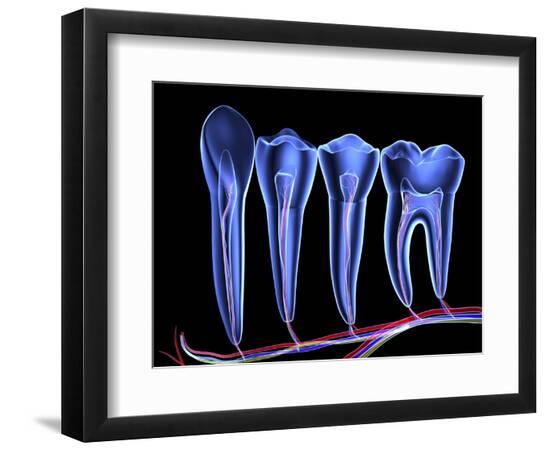 Premium Photographic Print, , large