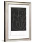 Pasiphae-Henri Matisse-Framed Art Print