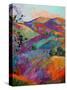 Paso III-Erin Hanson-Stretched Canvas