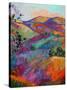 Paso III-Erin Hanson-Stretched Canvas