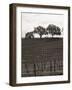 Paso Robles Toned-Chris Bliss-Framed Photographic Print