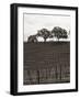 Paso Robles Toned-Chris Bliss-Framed Photographic Print