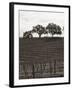 Paso Robles Toned-Chris Bliss-Framed Photographic Print