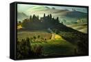 Canvas Black