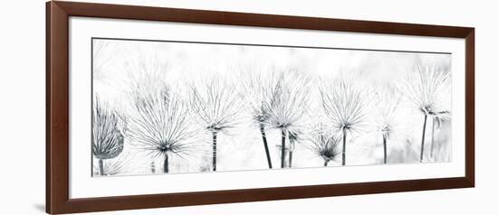 Pasque Flower-Katja Marzahn-Framed Giclee Print