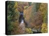 Pass of Killecrankie, Pitlochry, Perthshire, Scotland, United Kingdom, Europe-Jean Brooks-Stretched Canvas