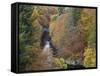 Pass of Killecrankie, Pitlochry, Perthshire, Scotland, United Kingdom, Europe-Jean Brooks-Framed Stretched Canvas