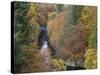 Pass of Killecrankie, Pitlochry, Perthshire, Scotland, United Kingdom, Europe-Jean Brooks-Stretched Canvas