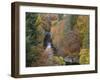 Pass of Killecrankie, Pitlochry, Perthshire, Scotland, United Kingdom, Europe-Jean Brooks-Framed Photographic Print