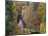 Pass of Killecrankie, Pitlochry, Perthshire, Scotland, United Kingdom, Europe-Jean Brooks-Mounted Photographic Print