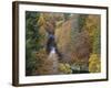 Pass of Killecrankie, Pitlochry, Perthshire, Scotland, United Kingdom, Europe-Jean Brooks-Framed Photographic Print