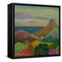 Passage amid Spikes and Flowers-Angeles M Pomata-Framed Stretched Canvas