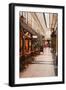 Passage Des Panoramas in Central Paris, France, Europe-Julian Elliott-Framed Photographic Print