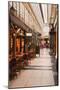 Passage Des Panoramas in Central Paris, France, Europe-Julian Elliott-Mounted Photographic Print