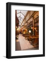 Passage Des Panoramas in Central Paris, France, Europe-Julian Elliott-Framed Photographic Print