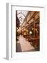 Passage Des Panoramas in Central Paris, France, Europe-Julian Elliott-Framed Photographic Print