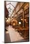 Passage Des Panoramas in Central Paris, France, Europe-Julian Elliott-Mounted Photographic Print