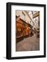 Passage Des Panoramas in Central Paris, France, Europe-Julian Elliott-Framed Photographic Print