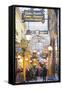 Passage Des Panoramas, Paris, France, Europe-Neil Farrin-Framed Stretched Canvas