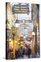 Passage Des Panoramas, Paris, France, Europe-Neil Farrin-Stretched Canvas