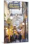 Passage Des Panoramas, Paris, France, Europe-Neil Farrin-Mounted Photographic Print