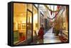 Passage Des Panoramas, Paris, France, Europe-Neil Farrin-Framed Stretched Canvas